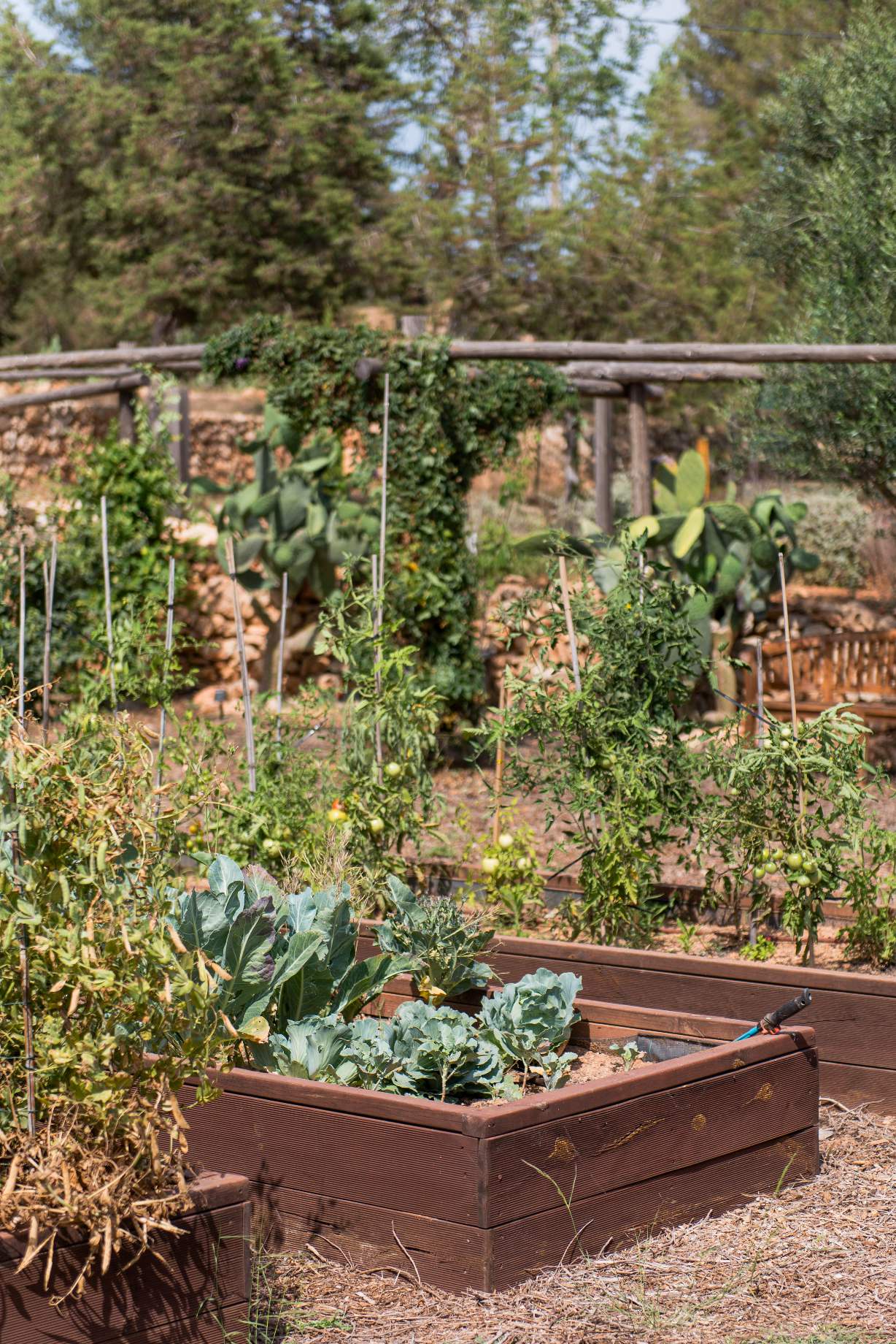 Finca Garden